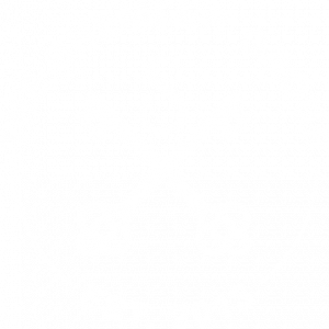 The Shemler Group